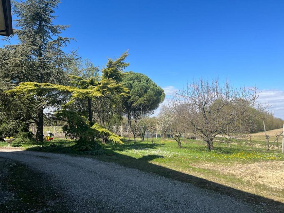 B&B Airport Venice Diego 2 테세라 외부 사진
